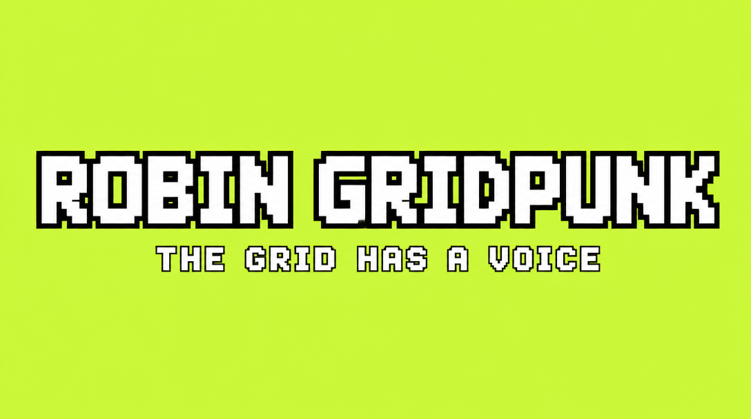 ROBIN GRIDPUNK banner